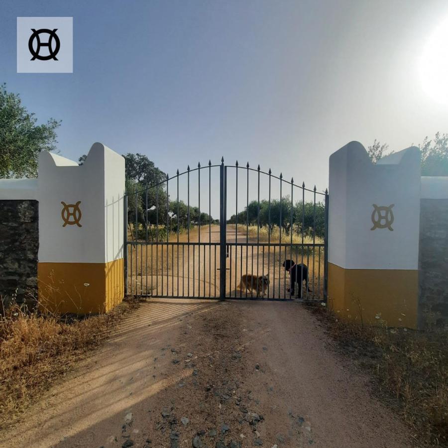 Herdade Da Ordem Cabeço de Vide Eksteriør billede