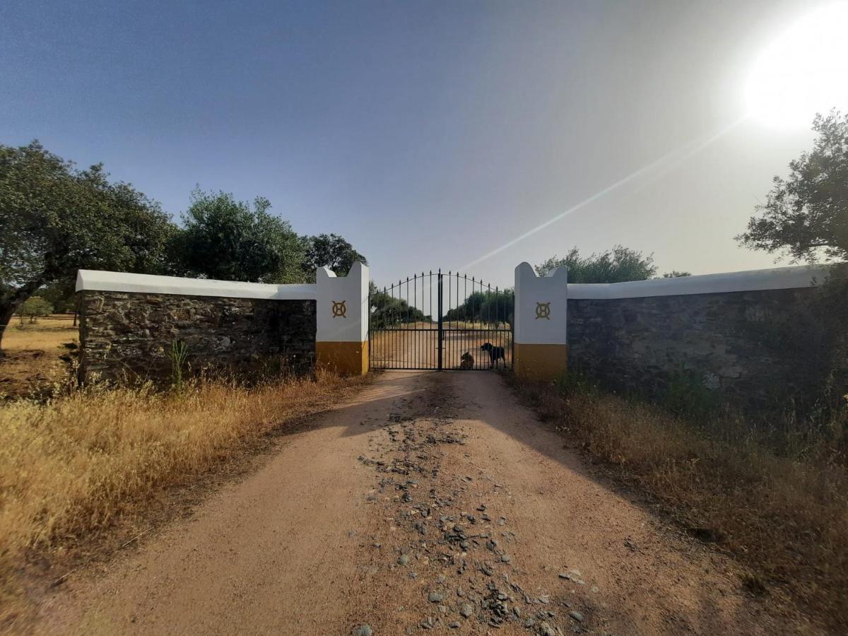 Herdade Da Ordem Cabeço de Vide Eksteriør billede